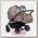 Детская коляска для двойни Indigo Charlotte Duo 2 в 1