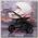 Детская коляска Tutic Bumer Lux 2 в 1