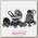 Детская коляска Peg-Perego Book Plus Completo 3 в 1, шасси Silver