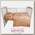 Комплект постельного белья Bambola Гамачки, 3 пр., бязь
