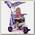 Трехколесный велосипед Smart Trike Spirit