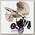 Детская коляска BeBe-Mobile Toscana Deluxe Len Eco 2 в 1, ткань+эко-кожа