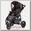 Детская коляска Quinny Speedi Pack 2 в 1