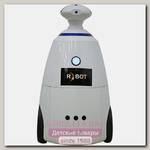 Интерактивный мобильный робот R.BOT